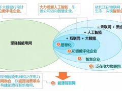 湖南電力總經理李生權：以數字化轉型推進“三型兩網”戰(zhàn)略全面落地