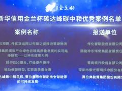 實至名歸！賽拉弗榮膺“新華信用金蘭杯”ESG優(yōu)秀案例獎