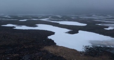 生物多樣性與能源革命