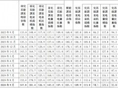 “十四五”以來非化石能源發(fā)電裝機(jī)規(guī)模累計(jì)增長了81.4%