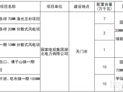 國家電投獨攬！湖北發布2024年第一批新能源發電項目名單